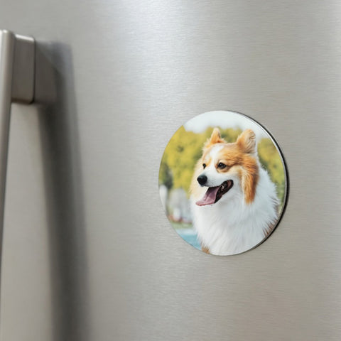 Aluminium Magnet