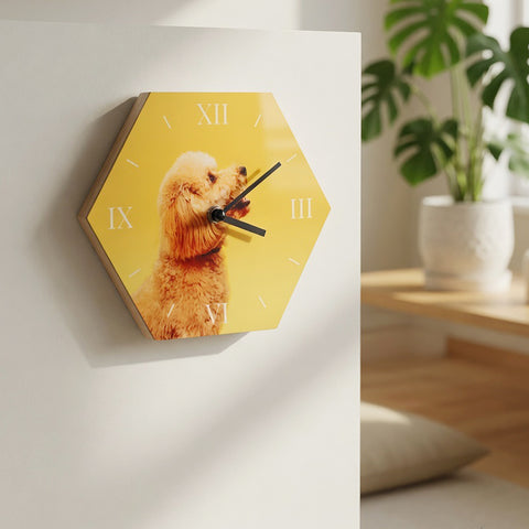 My Pet Clock