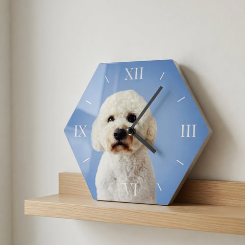 My Pet Clock